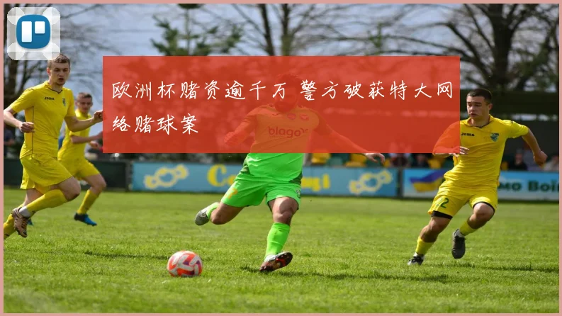 欧洲杯赌资逾千万 警方破获特大网络赌球案