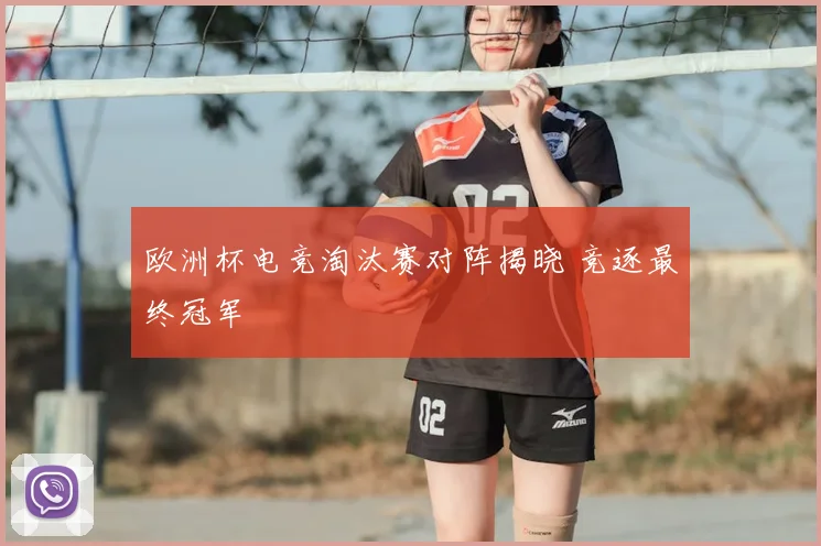 欧洲杯电竞淘汰赛对阵揭晓 竞逐最终冠军