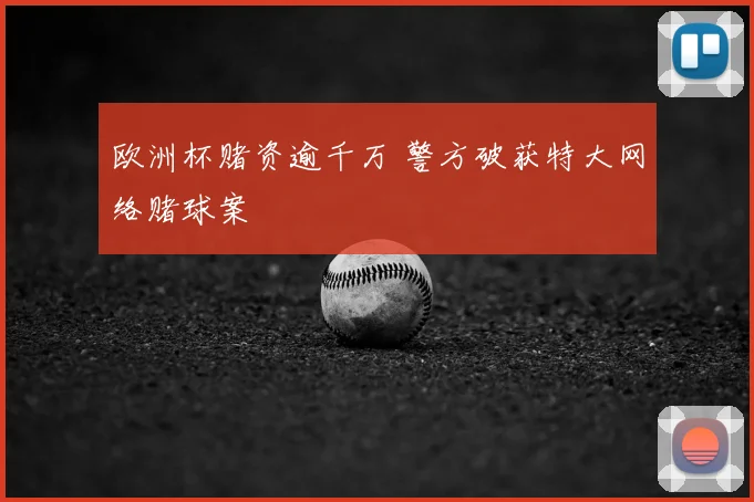 欧洲杯赌资逾千万 警方破获特大网络赌球案