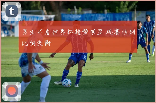 男生不看世界杯趋势明显 观赛性别比例失衡